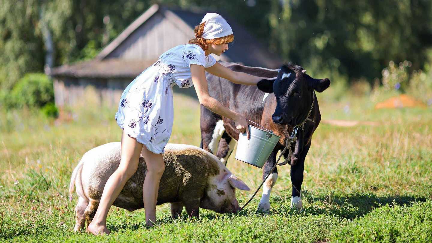 Преимущества и недостатки сельского туризма