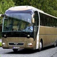 Автобус серого цвета