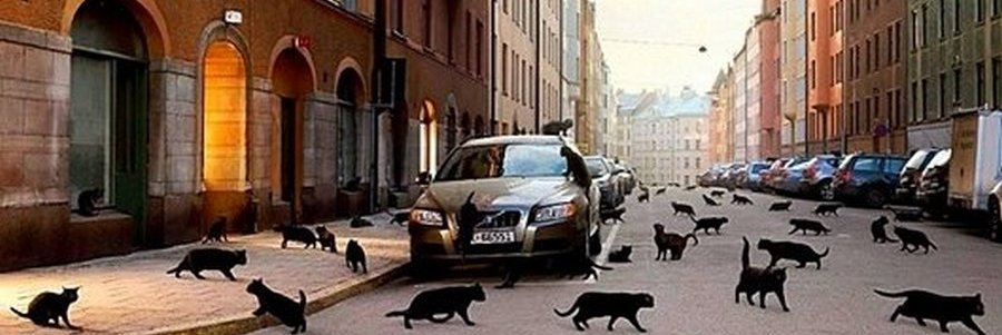 Неудачный день для поездки